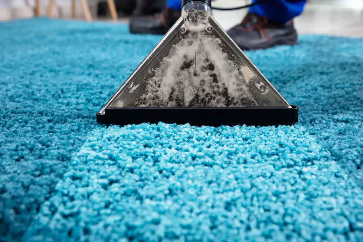 Carpet Cleaning