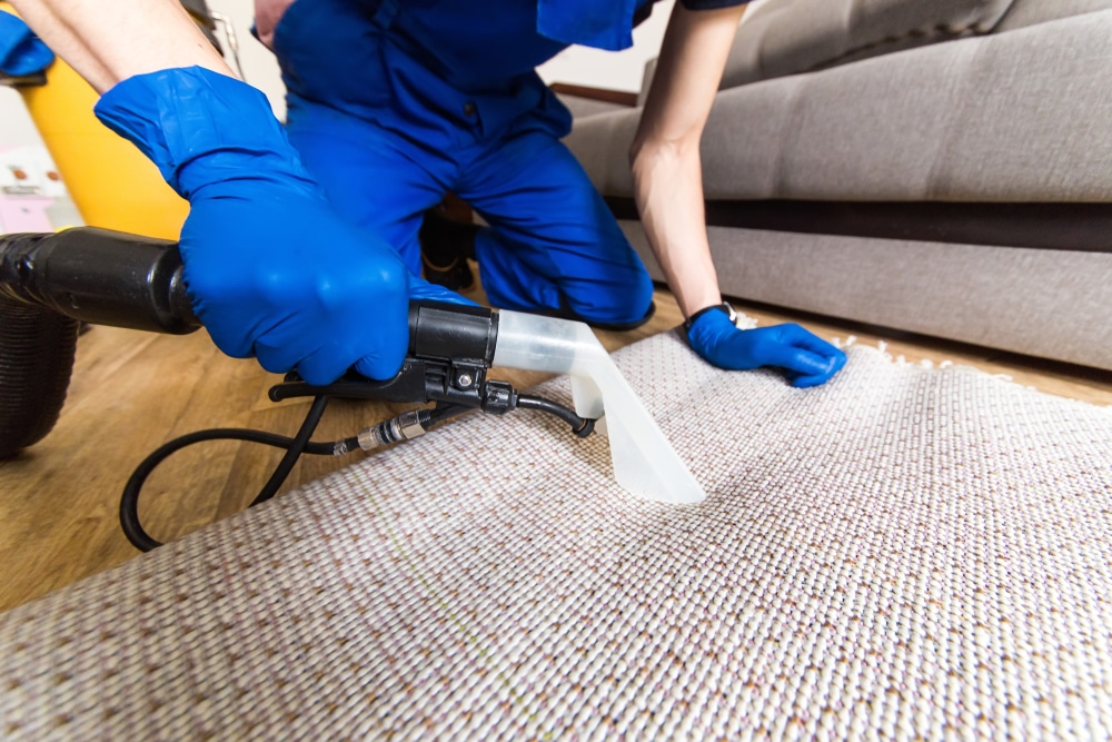 Premium Carpet Cleaning Services