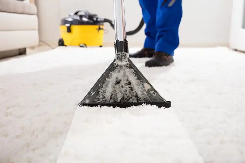 Blog 27 Jpg Carpet Cleaning Dix Hills