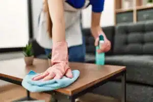 meticulous home cleaning services