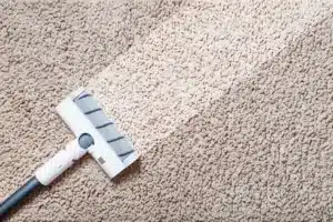 Carpet Cleaning Holbrook